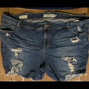 Torrid Bermuda Cutoffs